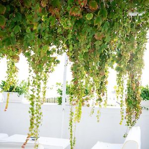 Apartment Terrace Sea View